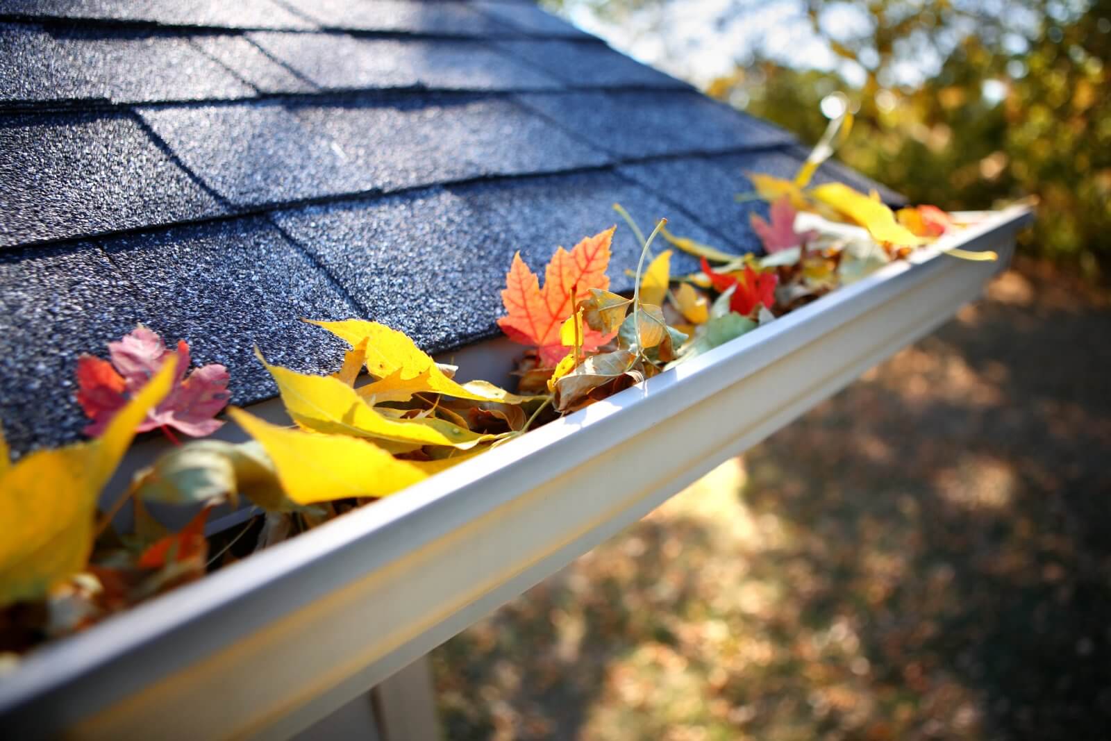 Gutter Cleaning Greensboro NC